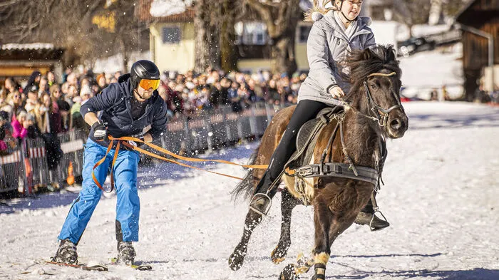 Der Villacher Pferdezuchtverein K14 organisierte den Skijöring-Bewerb in Heiligengeist