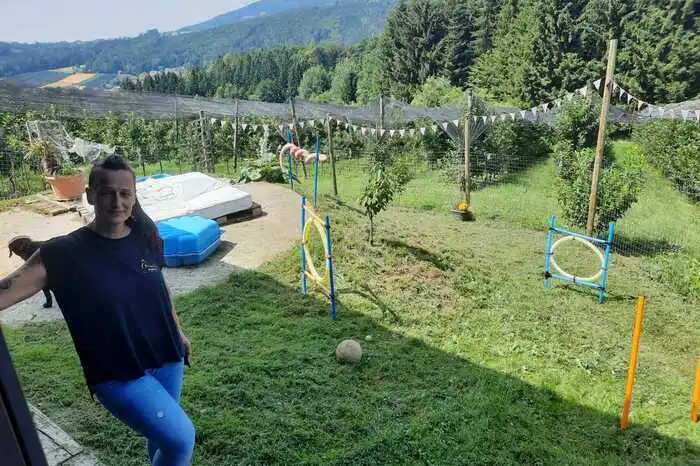 Viel Platz zum Toben und Spielen für die Hunde