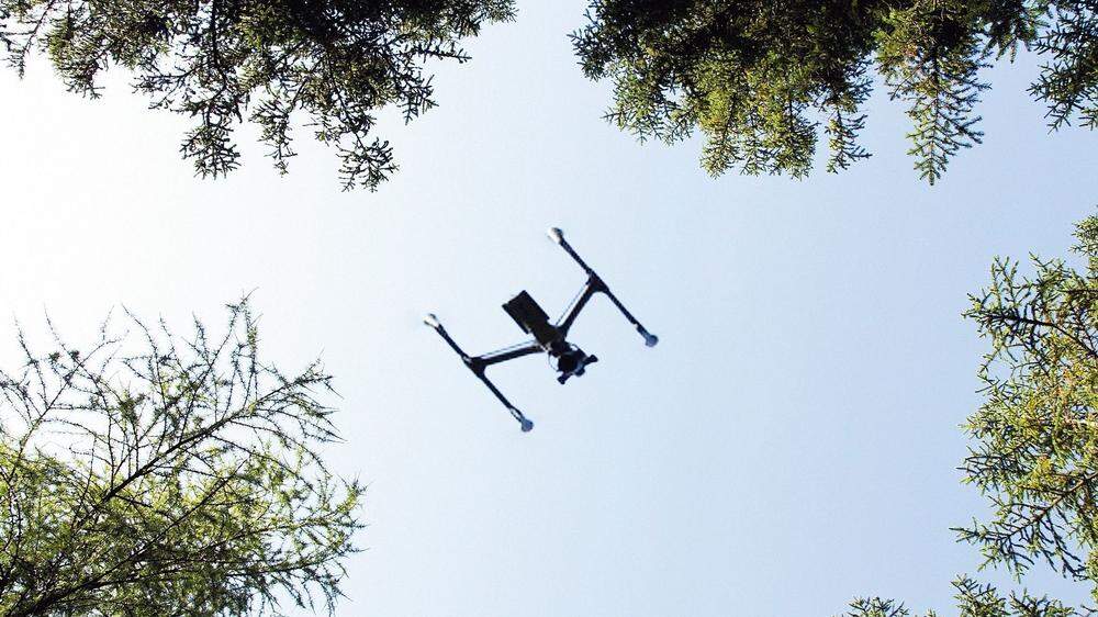 Eine Drohne erstellt hochauflösende Luftbilder, mit denen Forscher den Erhaltungszustand von Lebensräumen dokumentieren