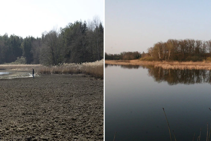 Das Vergleichsbild rechts zeigt denselben Teich im Jahr 2011.