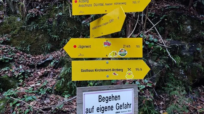 Keine Billa-Pickerl, dafür Enten- und sonstige Cartoons klebte der unbekannte Täter auf Hinweisschilder und Infotafeln in der Großen Raabklamm.