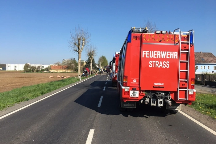 Der slowenische Lenker des Lkw wurde bei dem Unfall verletzt.