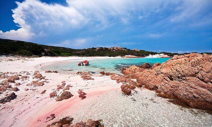 Die rosarote Spiaggia Rosa auf der Isola di Budelli
