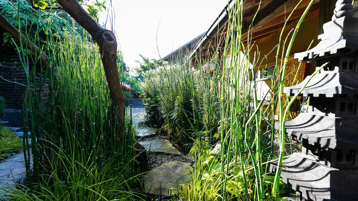 2007 startete Werner Koller das Projekt „Japangarten“ rund um sein Elternhaus - eine Hommage an ein Land, in dem er mehr als zehn Jahre mit seiner Frau gelebt hatte. 
