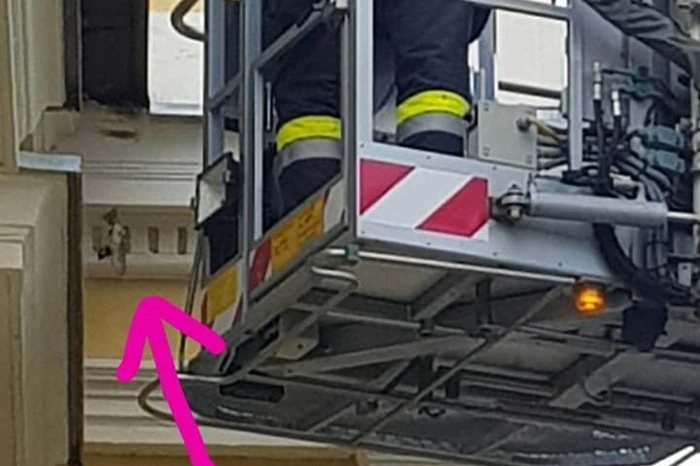 Klicken Sie sich durch die Bilder der Rettungsaktion!