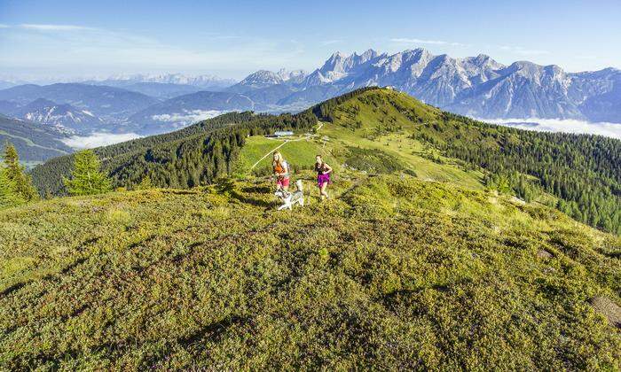 Die Planai bietet unzählige Touren für ausgedehnte Wanderungen 