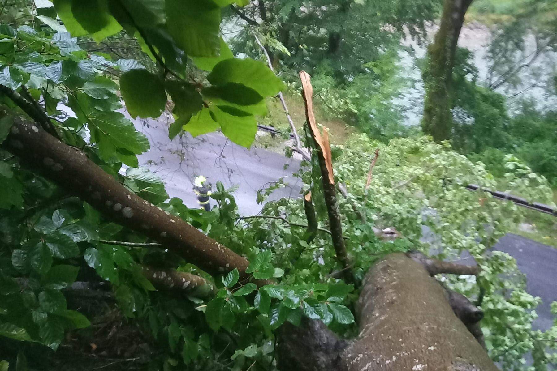 Unwetter sorgen in der Steiermark für Schäden