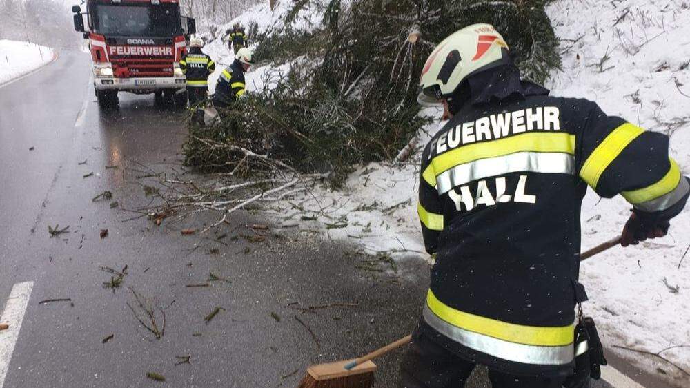 Die Feuerwehren kümmerten sich vor allem um umgefallene Bäume und hängengebliebene Fahrzeuge