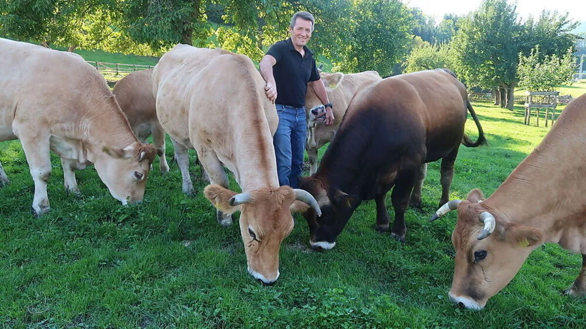 Klaus Schmidhofer inmitten seiner Murbodner Rinder