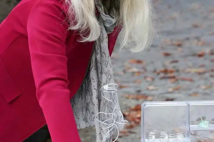 Klicken Sie sich durch der Kunst Markt.