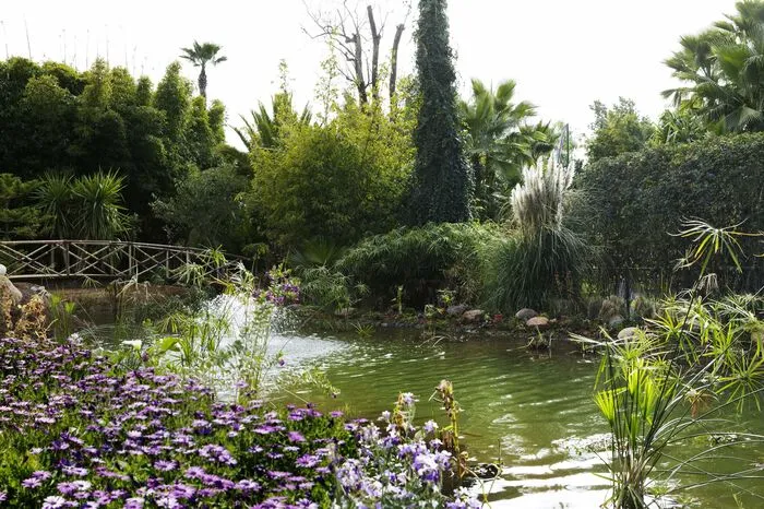 ... Bildermagier Heller nennt seinen Garten einen "magischen Ort der Sinnlichkeit, des Staunens, der Kontemplation, der Freude, der Heilung und der Inspiration für Menschen jeden Alters, die Unvergessliches erleben wollen" ...