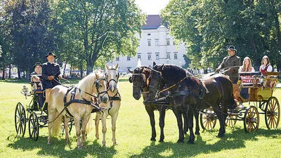 Am Sonntag erobern Kutschenfahrer die Innenstadt von Spittal