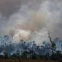 Verheerende Feuer im Regenwald des Amazonas