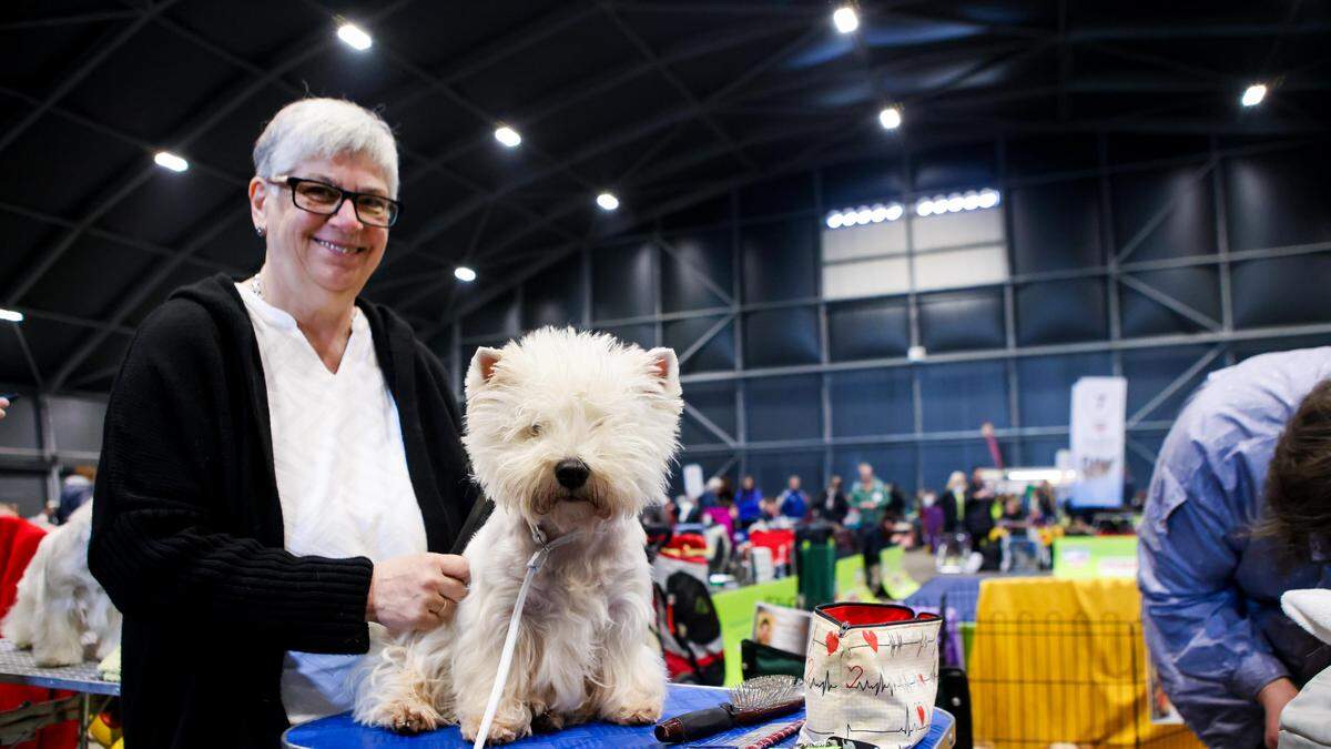 In Premstätten ist der Hund los