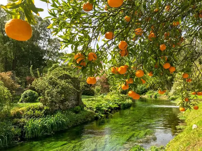 Der Garten von Ninfa in Italien 
