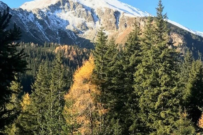 Blick auf den Sonntagskogel, Gemeinde Gaal, von Helene Hausberger.