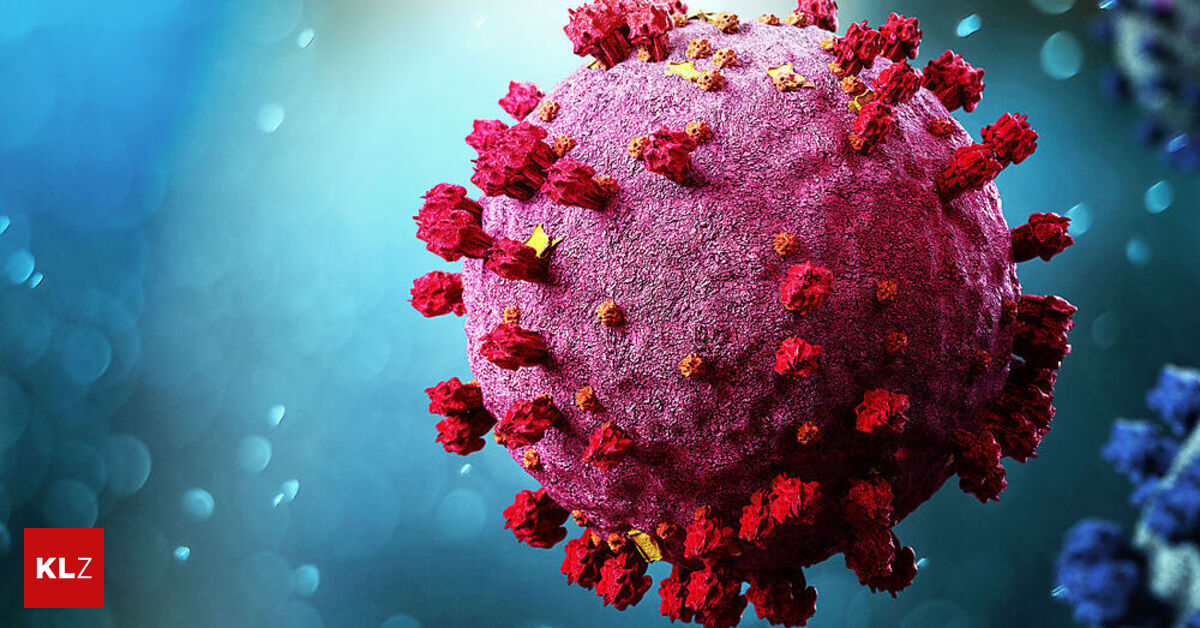 Wie Lange Immun Nach Influenza www.kleinezeitung.at