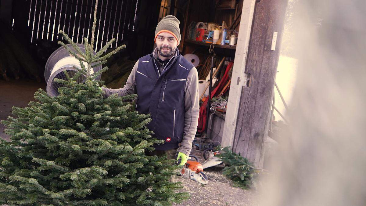 Forstexperte Fabian Leiter wird in der Vorweihnachtszeit zum Helfer des Christkindls. Sein Nachname ist Programm, er ist auch der Leiter des Landesforstgartens in Nikolsdorf