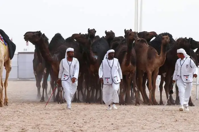 Der Festival-Cheforganisator in Katar, Hamad Dschaber Al-Athba sagte der Nachrichtenagentur AFP, er und seine Mitarbeiter hätten Vorbereitungen gegen Manipulationsversuche wie den "Einsatz von Botox und anderer Füllmittel" getroffen.
