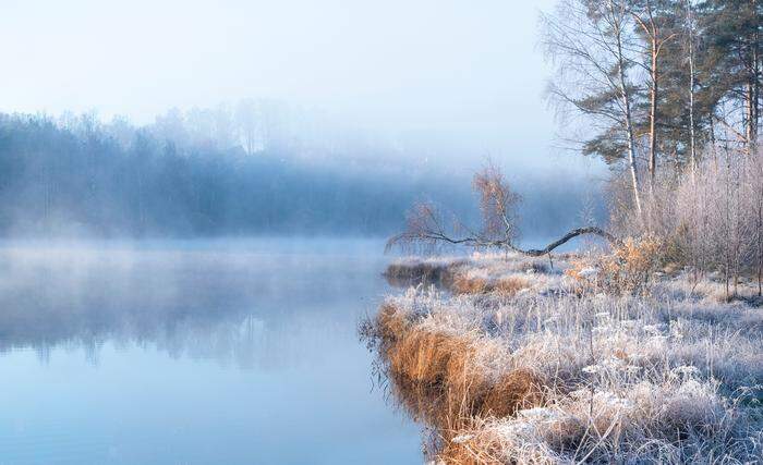First frost on a forest misty lake with a beautiful birch on the shore, autumn landscape in bright morning