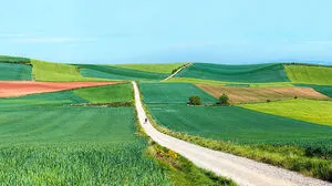 Die unendlichen Weiten der spanischen Meseta