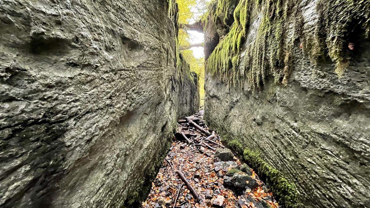 Der mehr als 100 Meter lange Triftkanal, der früher zum Holztransport diente, im heurigen Spätherbst