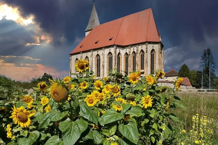 Das leuchtende Gelb
der Sonnenblumen
trotzt förmlich der
heranziehenden
Dunkelheit und die
alte gotische Pfarrkirche Maria im Paradiese in St. Marein
wirkt wie ein Fels in
der Brandung. Herzlichen Dank an
unseren Leserreporter
Franz Josef Dorn aus
St. Marein-Feistritz für
das Foto.