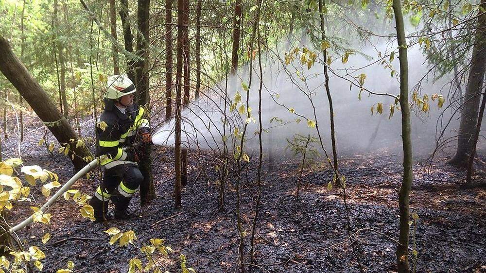 In Emperdorf brannten rund 3000 Quadratmeter Wald