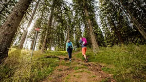 Das Wandern ist und bleibt ein wichtiger Schwerpunkt der Hochsteiermark. Es funktioniert übrigens auch, wenn das Wetter einmal nicht strahlend schön ist