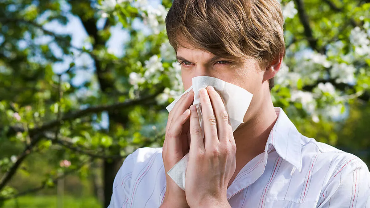 Haaatschiii! Wenn die Pollen nahen, hat das Niesen Saison
