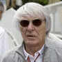 Bernie Ecclestone hatte eine Pistole im Gepäck, aber keine Dokumente dafür.