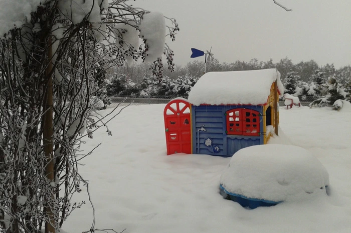 Auch 1. Februar 2014