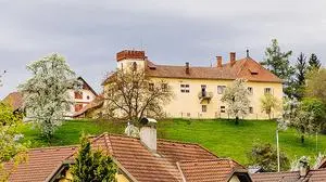 Nach dem Verkauf im Jahr 2015 kann das Schloss nun erneut gekauft werden. Preis: 1,65 Millionen 