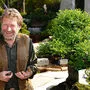 Beschäftigt sich seit über 40 Jahren mit Bonsai: Günther Klösch aus Seeboden am Millstätter See