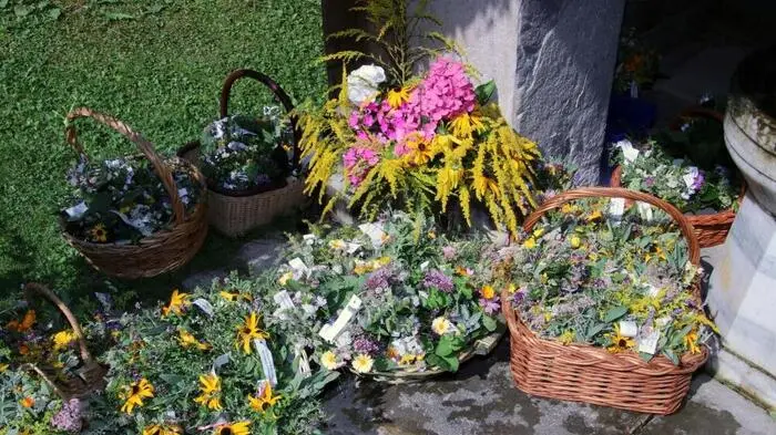 Am „Großen Frauentag“, dem Fest Mariä Himmelfahrt am 15. August, lud die Katholische Frauenbewegung Kainach mit Obfrau Maria Murgg zur traditionellen Kräutersegnung ein.