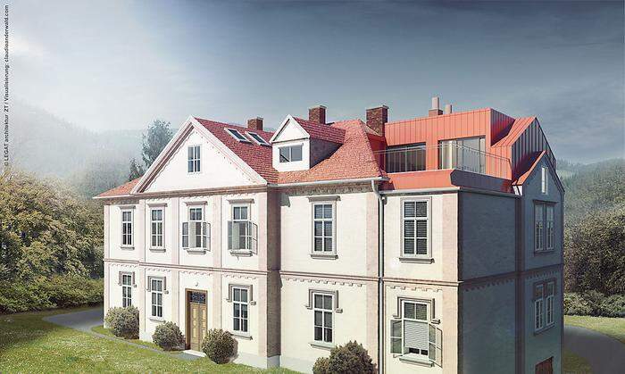 Umbau und Zubau im Dachgeschoß eines Schlosses: Martina Legat schaffte die Umsetzung der Bauherrenwünsche um ca. 200.000 Euro 	
