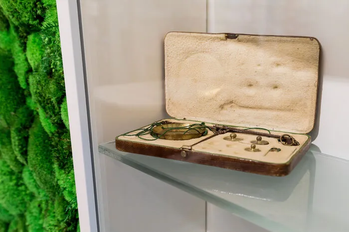 Einblick in die historische Vitrine
