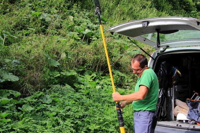 Während der Baum abgesägt und die Löscharbeiten durchgeführt wurden, musste der Strom für den Bereich Gallmannsegg-Geistthal-Krautwasch für ca. 25 Minuten abgeschaltet werden.