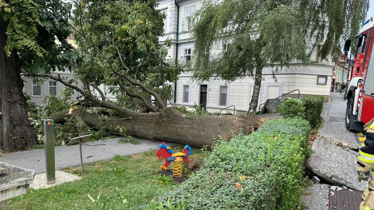 In der Steiermark, hier in Hartberg, knickten durch starken Wind zahlreiche Bäume um