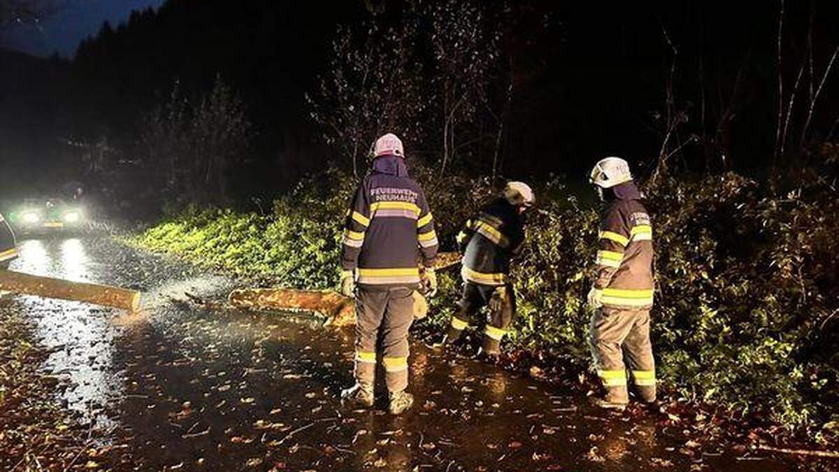 Umgestürzte Bäume  in Neuhaus