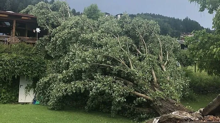 Elena Sophie Madl aus Dellach am Millstätter See hat dieses Foto geschickt