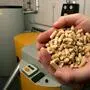 Eine Hand voll Pellets wird vor einer Heizung ins Bild gehalten | Nach einer stabilen Phase ziehen Pelletpreise seit 2025 wieder kräftiger an