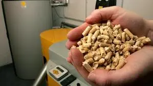 Eine Hand voll Pellets wird vor einer Heizung ins Bild gehalten | Nach einer stabilen Phase ziehen Pelletpreise seit 2025 wieder kräftiger an