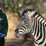 Zebras wurden beim jährlichen Fototermin ebenfalls abgelichtet