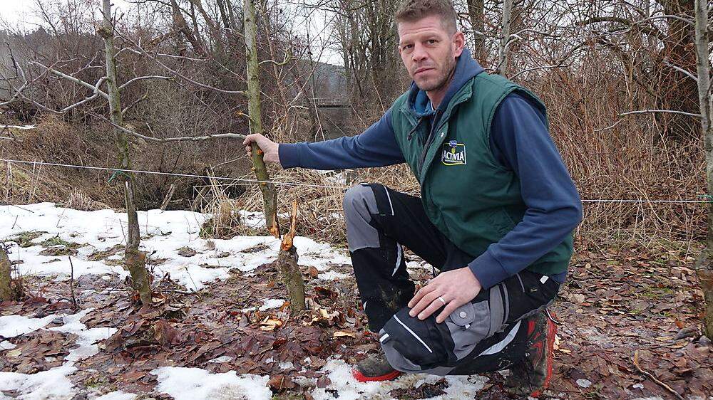 Martin Kulmer mit einem der Hunderten zerstörten Apfelbäume