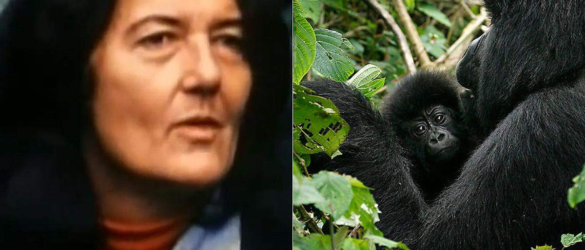Dian Fossey 