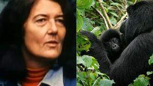 Dian Fossey 
