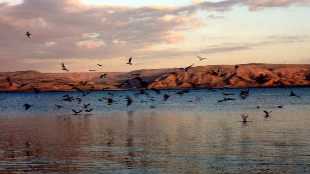 Wasser für alle: Der See Genezareth im milden Abendlicht