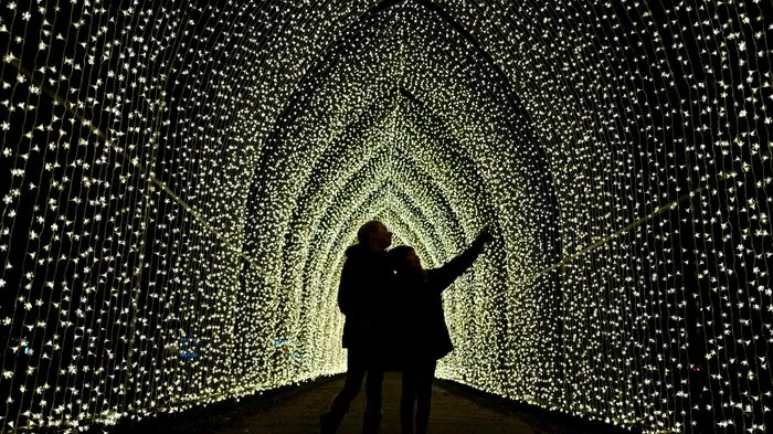 Millionen Lichter sorgen für vorweihnachtliche Stimmung in London: Bis zum 5. Jänner können Besucher der Kew Gardens durch einen Lichterpfad wandeln.