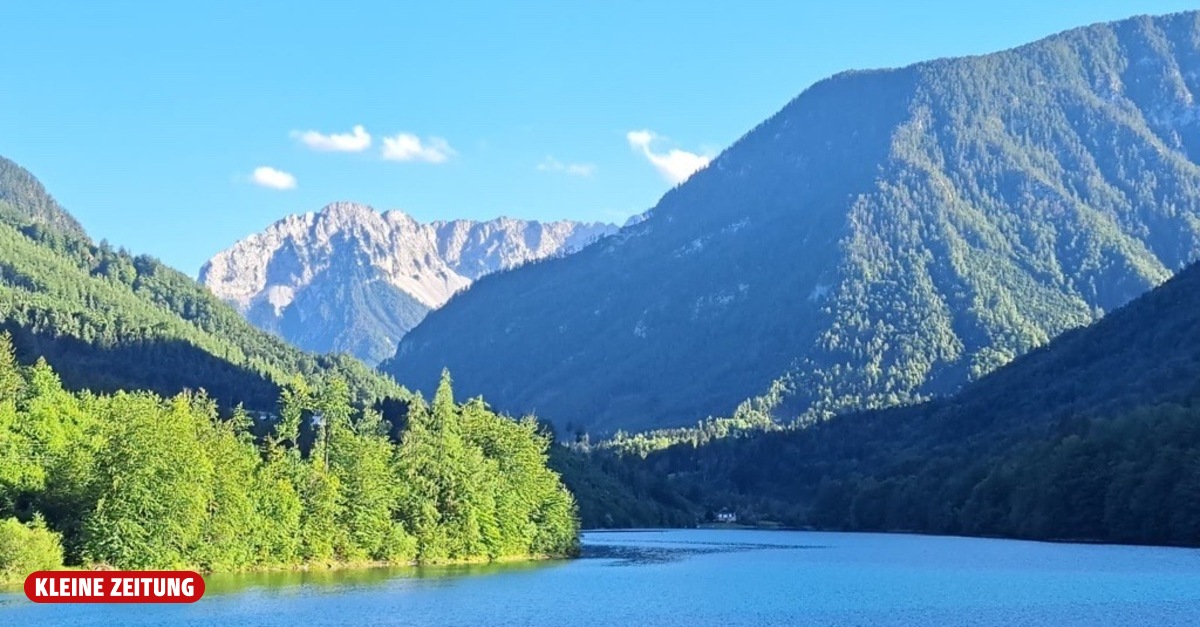 Woman seriously injured after falling from a rope swing at the Freibach ...